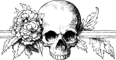A detailed illustration of a skull adorned with flowers and leaves, symbolizing the juxtaposition of life and death. The skull is central, surrounded by floral elements, creating a striking visual contrast. vector