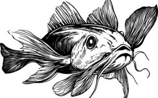 A detailed black and white illustration of a fish, showcasing its fins, whiskers, and expressive eyes. The fish appears to be swimming gracefully, with intricate line work emphasizing its features. vector