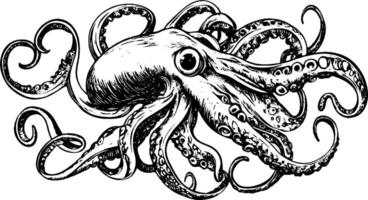 An intricately detailed black and white illustration of an octopus with flowing tentacles and a prominent head, showcasing its unique features and textures. vector