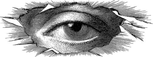 Surreal engraved illustration of an eye in a broken mirror. vector