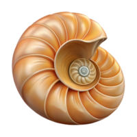 enchanting coastal Ultra-detailed, isolated cutout of a single, perfect spiral nautilus shell with its chambers visible with Transparent Background detailed png
