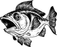 A detailed illustration of a fish with an open mouth, showcasing its fins and scales in a realistic style. The fish appears dynamic and lively, emphasizing its features. vector