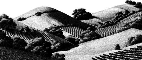 Hilly vineyard landscape with trees and rows of grapevines in monochrome dotted style. vector