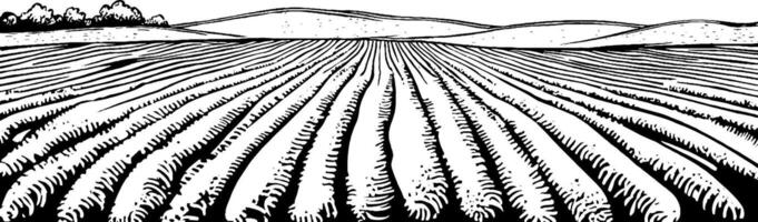 A black and white illustration of a plowed field with furrows, rolling hills in the background, and a few trees on the horizon. vector