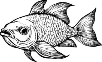 A detailed illustration of a goldfish, showcasing its scales and fins in a realistic style. The fish is depicted swimming to the right, with a slightly open mouth and expressive eyes. vector