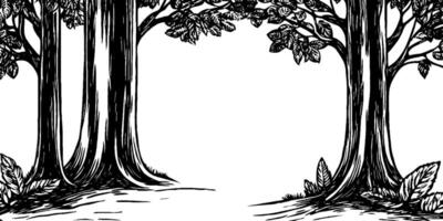 A hand-drawn illustration of trees with detailed bark and leaves, creating a natural frame. The background is blank, emphasizing the trees on either side. vector