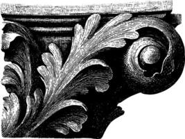Intricate vintage architectural ornament with leaf and scroll design. vector