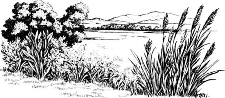 A serene landscape illustration featuring tall grasses and bushes in the foreground, with a calm body of water and distant mountains in the background. vector