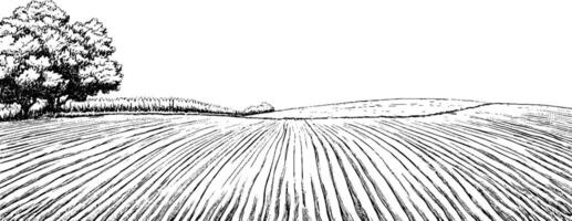 A black and white illustration of a vast field with plowed rows, featuring a few trees in the background and rolling hills in the distance. vector