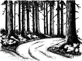 A winding path through a dense forest, surrounded by tall trees and underbrush. The scene is illustrated in a black and white sketch style, emphasizing the natural textures of the bark and foliage. vector