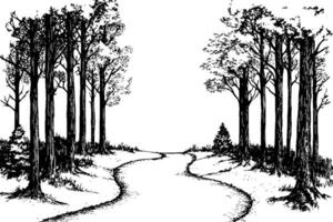 A black and white illustration of a winding path through a forest, surrounded by tall trees and shrubs. The scene is serene and natural, evoking a sense of tranquility. vector