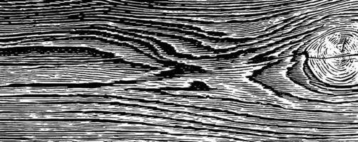 1950s woodcut style black and white abstract design for print. vector