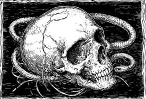 A detailed illustration of a skull entwined with a snake, showcasing intricate line work and shading. The background is dark, enhancing the contrast of the skull and snake. vector