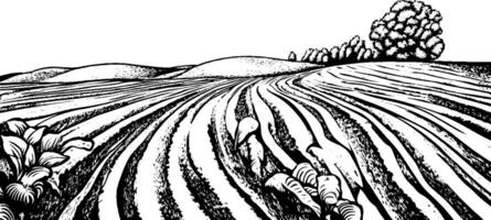 A black and white illustration of a rural landscape featuring rolling hills, furrowed fields, and a cluster of trees in the background. The foreground includes stylized plants, emphasizing agricultural themes. vector