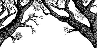 A detailed black and white illustration of tree branches, showcasing intricate lines and textures. The branches extend from the corners towards the center, creating a frame-like effect. vector