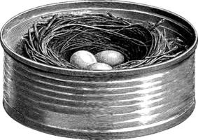 Engraved artwork of bird nest with eggs in a circular structure for nature design. vector