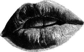 Retro 1950s woodcut style black and white illustration of lips for design and print. vector