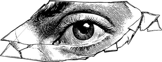 Intricate engraving of an eye in a fragmented mirror for artistic design. vector