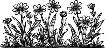 A detailed black and white illustration of various flowers and plants, showcasing a variety of shapes and sizes. The design features tall grass and blooming flowers, creating a natural garden scene. vector