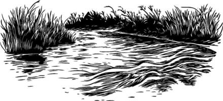 A black and white illustration of a winding river surrounded by tall grass and shrubs. The water flows gently, creating ripples and reflections. vector