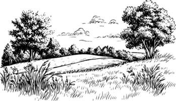 A serene landscape featuring rolling hills, trees, and a cloudy sky. The foreground includes tall grass and wildflowers, creating a peaceful natural scene. vector
