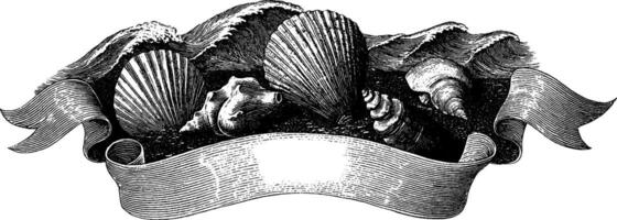 Vintage engraving of seashells with waves and ribbon border for nautical decor or print design. vector