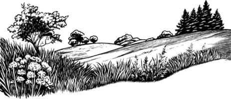 A black and white illustration of a serene landscape featuring rolling hills, trees, and various types of grass and foliage. The scene captures a peaceful rural setting with a natural feel. vector