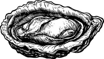 A detailed illustration of an oyster in its shell, showcasing the texture and shape of the shell and the oyster inside. vector