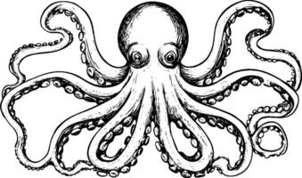 A detailed black and white illustration of an octopus with eight arms, large eyes, and a rounded head. The tentacles are spread out, showcasing the texture and suckers. vector