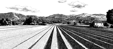 Engraved illustration of a countryside landscape with fields and mountains. vector