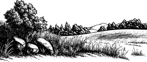 A detailed black and white illustration of a serene landscape featuring large rocks, tall grass, and trees in the foreground, with rolling hills in the background. vector