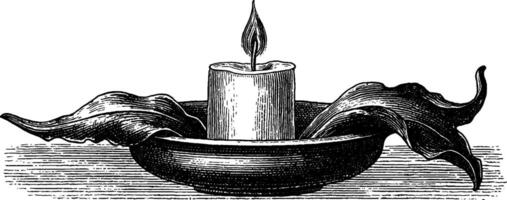 Intricate engraving of candle held by claw shaped holder for decorative and design use. vector
