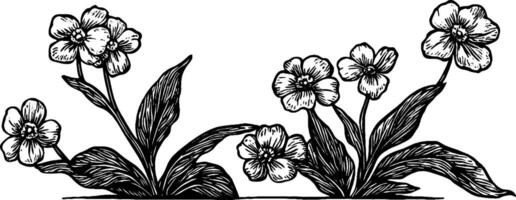 A vintage-style illustration of flowers with detailed leaves and petals, arranged in a symmetrical design. The flowers have a delicate appearance, showcasing intricate line work. vector