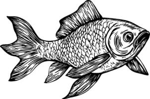 A detailed illustration of a fish, showcasing its scales and fins in a dynamic swimming pose. The fish is depicted in a stylized, black and white design, emphasizing its features. vector