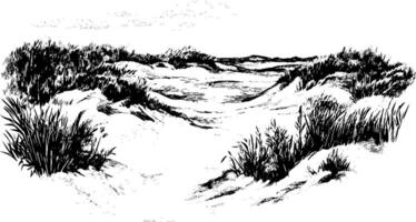 A black and white illustration of a sandy landscape with dunes and sparse vegetation. The scene depicts a serene natural environment, showcasing rolling hills and distant mountains under a cloudy sky. vector
