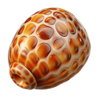 dynamic fascinating Professional render concept art style isolated cutout of a polished tiger cowrie shell, glossy, vibrant, intricate patterns, with Transparent Background high quality png