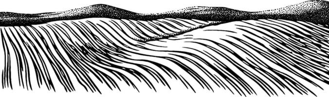 A detailed black and white illustration of rolling hills or waves in a landscape, showcasing flowing lines and textures that create a sense of movement and depth. vector