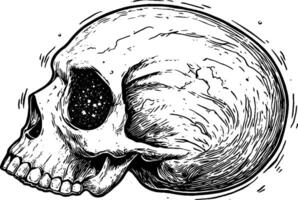A detailed illustration of a human skull with a cosmic design inside its hollow eye socket, showcasing stars and galaxies, emphasizing a blend of anatomy and the universe. vector