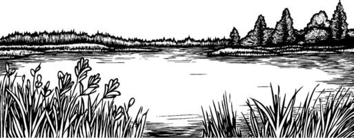 A serene landscape featuring a calm lake surrounded by trees and grass. The scene is depicted in a detailed black and white illustration style, emphasizing natural elements. vector