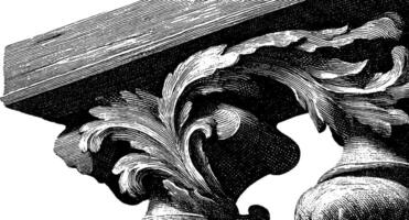 Ornate classical column capital with intricate leaf design in black and white illustration. vector