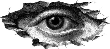 Intricate black and white etching of a watchful eye surrounded by torn paper. vector