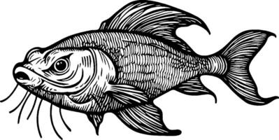 A detailed illustration of a fish, showcasing its fins, scales, and whiskers in a black and white style. vector