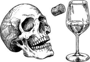 A detailed illustration of a human skull next to a wine glass with a cork floating above it, symbolizing themes of mortality and indulgence. vector
