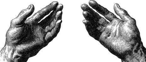 Detailed retro etching of two hands facing each other. vector