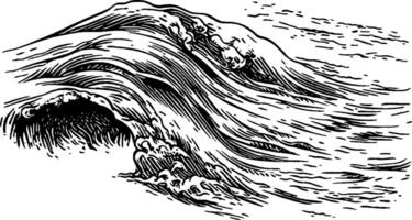 An artistic illustration of ocean waves, showcasing intricate details and flowing lines. The waves are depicted in a dynamic motion, capturing the essence of the sea. vector