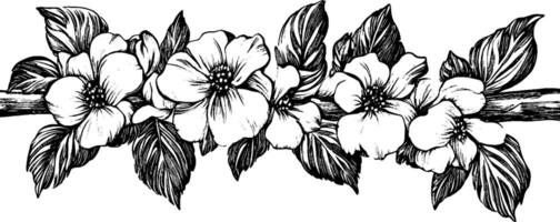 A detailed black and white illustration of flowers and leaves arranged along a branch. The flowers are open with intricate petal designs, surrounded by lush leaves, creating a natural and artistic composition. vector