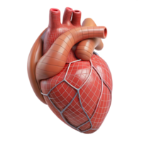 unparalleled avant-garde A human heart, anatomical, wireframe style with Transparent Background authentic png