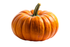 Single fresh pumpkin with smooth orange skin and distinctive green stem, ideal for fall and Thanksgiving visuals png
