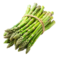 Fresh green asparagus bundle tied with twine on a Transparent Background, showcasing vibrant, healthy spears png