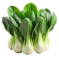 Organic baby bok choy vegetables arranged neatly on a clean Transparent Background, perfect for healthy meal preparation png